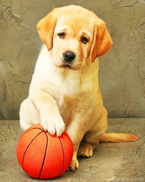 Labrador Puppy With Ball Painting By Numbers Kits