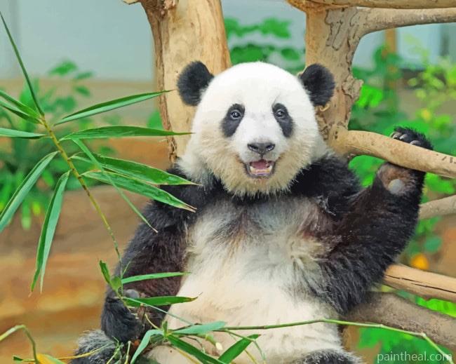 Black And White Panda Painting By Numbers Kits