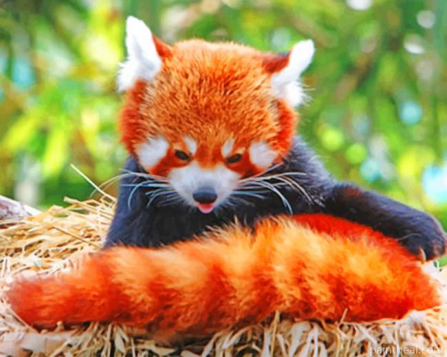 Red Panda In The Nest Painting By Numbers Kits