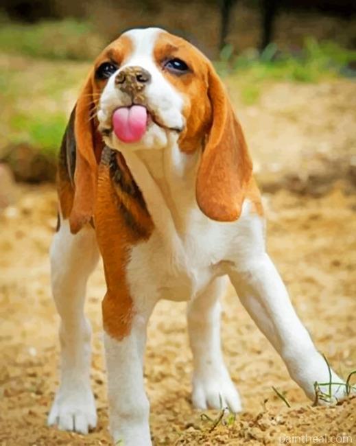 Beagle Dog Painting By Numbers Kits