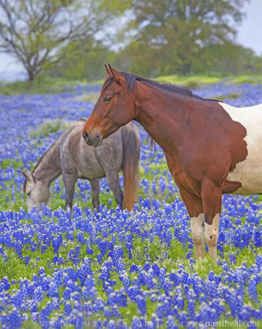 Horses And Bluebonnets Painting By Numbers Kits