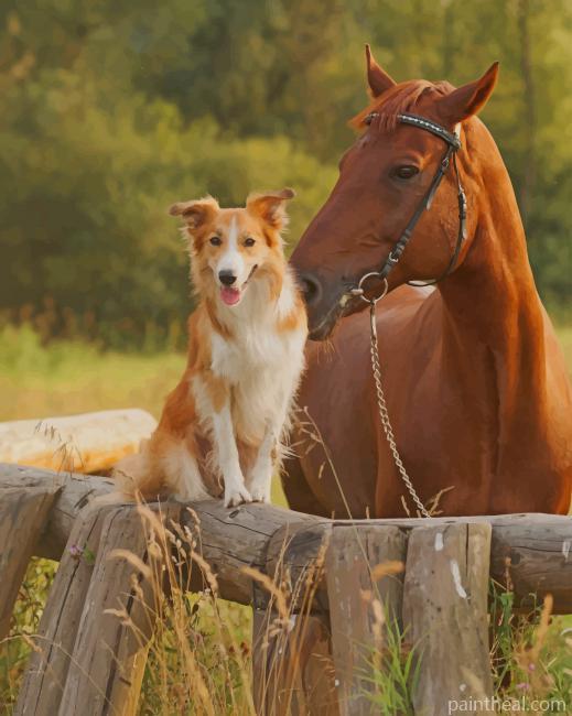 Dog And Horse Painting By Numbers Kits