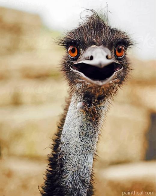 Aesthetic Emu Bird Painting By Numbers Kits