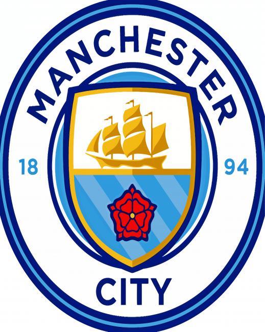Manchester City Soccer Team Logo Painting By Numbers Kits