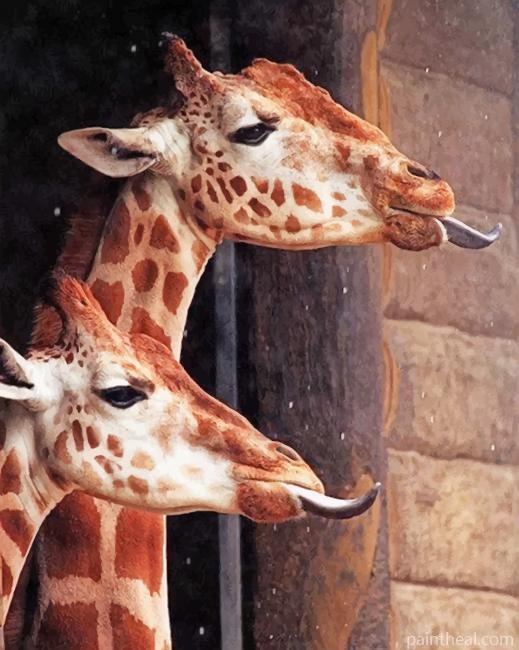 Crazy Giraffes Painting By Numbers Kits