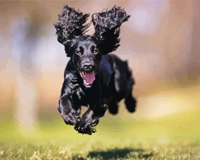 Cocker Spaniel Painting By Numbers Kits