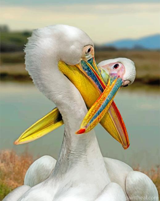 White Pelican Painting By Numbers Kits