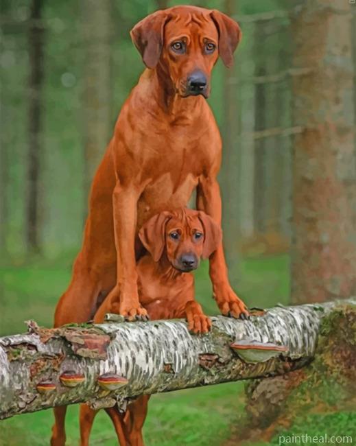 Rhodesian Ridgeback Dogs Painting By Numbers Kits