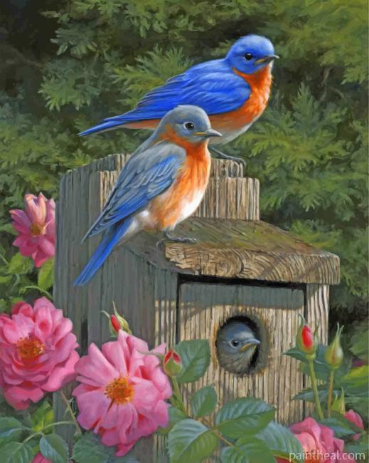 Garden Bluebirds Painting By Numbers Kits