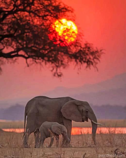 Indian Elephants Sunset Painting By Numbers Kits