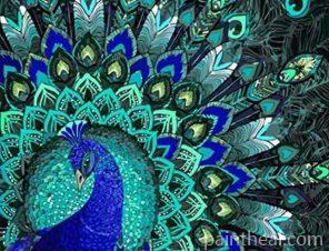Shapely Peacock Painting By Numbers Kits