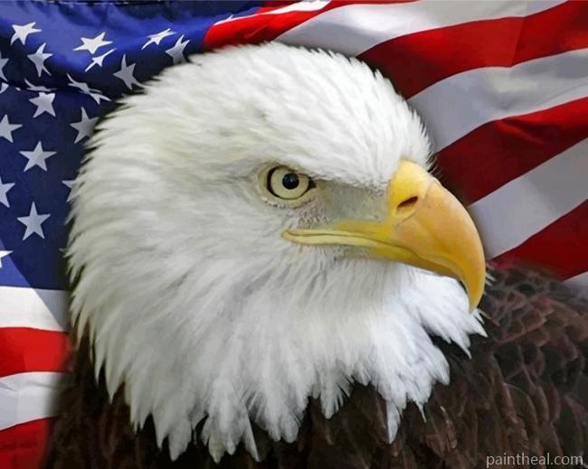 American Flag Eagle Bird Painting By Numbers Kits