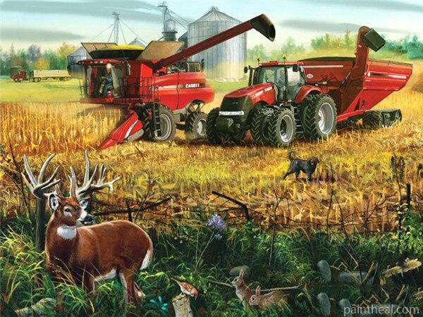 Farm During The Harvest Painting By Numbers Kits