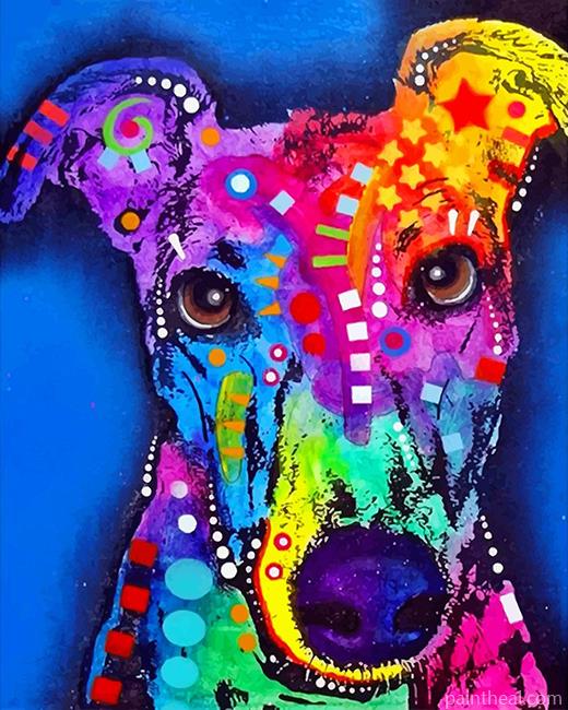 Colorful Greyhound Painting By Numbers Kits