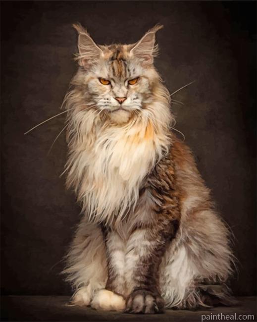 Maad Maine Coon -5D Diamond Paintings Painting By Numbers Kits