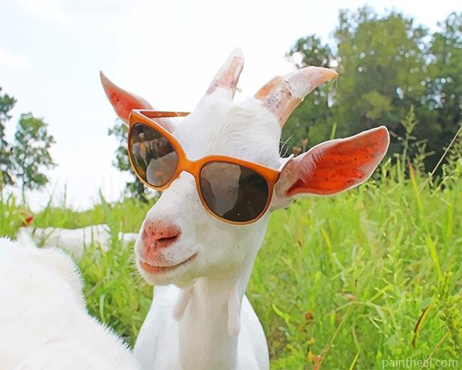 Goat Sunglasses Painting By Numbers Kits