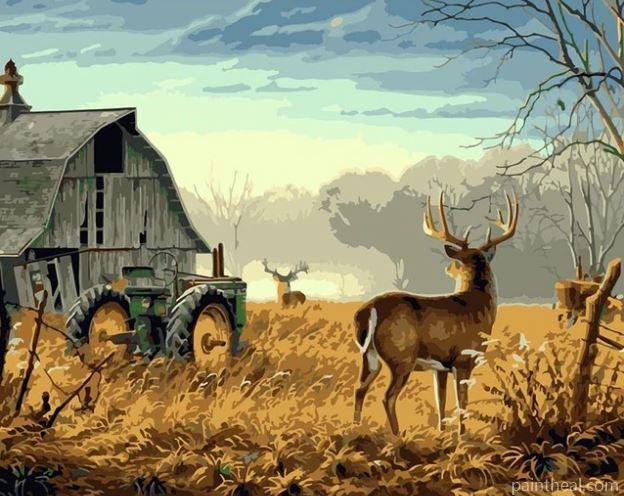Deer On Farm Painting By Numbers Kits