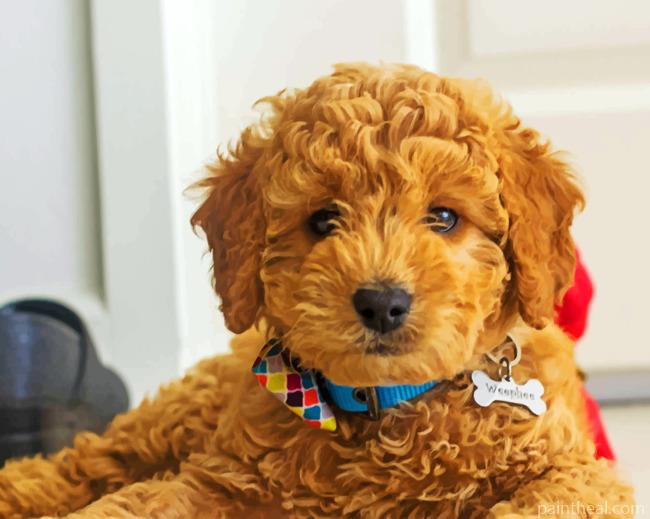Golden Dooodles Puppy Painting By Numbers Kits