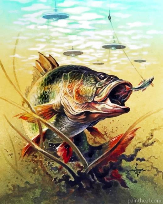 Carp Painting By Numbers Kits