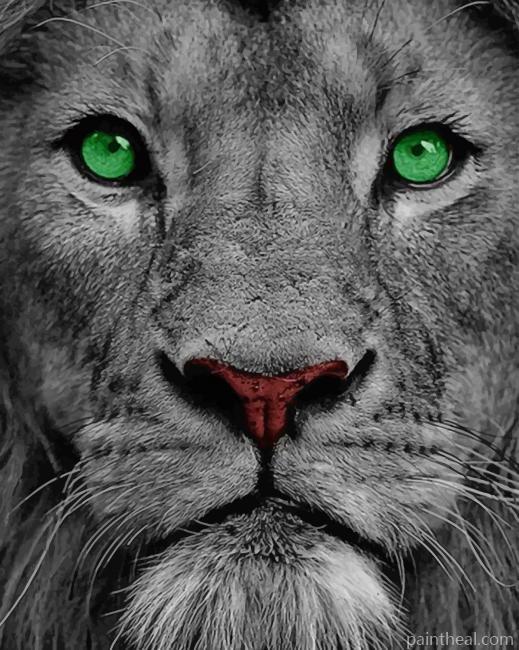 Lion With Green Eyes Painting By Numbers Kits