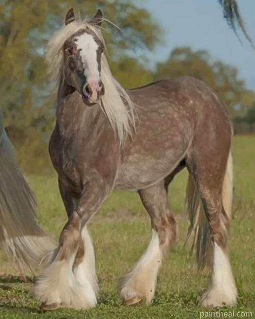 Beautiful Grey Horse Painting By Numbers Kits