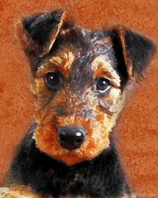 Airedale Terrier Puppy Painting By Numbers Kits