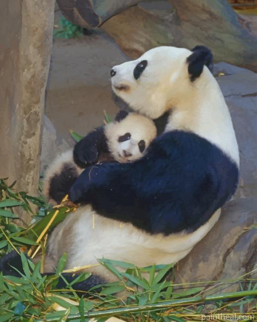 Panda Animals Painting By Numbers Kits
