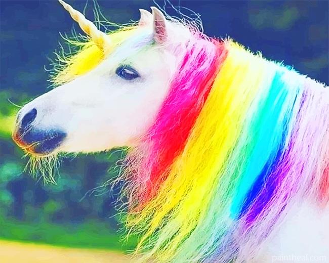 Real Unicorn Painting By Numbers Kits