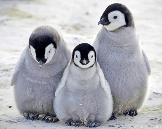 Penguins Family Painting By Numbers Kits