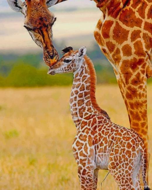 Mommy And Baby Giraffe In The Jungle Painting By Numbers Kits