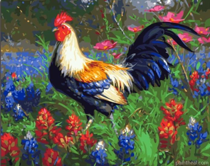 Rooster In Garden Painting By Numbers Kits