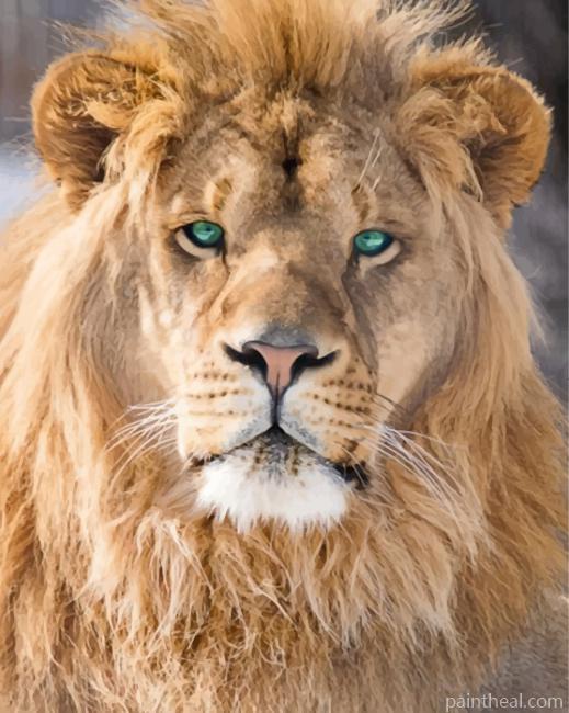 Jungle King Lion Painting By Numbers Kits