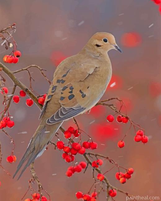 Mourning Dove Painting By Numbers Kits