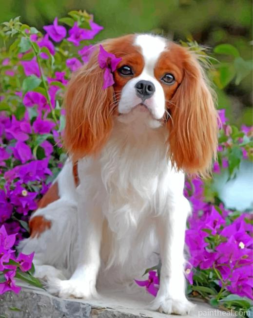 King Charles Spaniel Puppy Painting By Numbers Kits