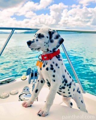 Dalmatian On Boat Painting By Numbers Kits