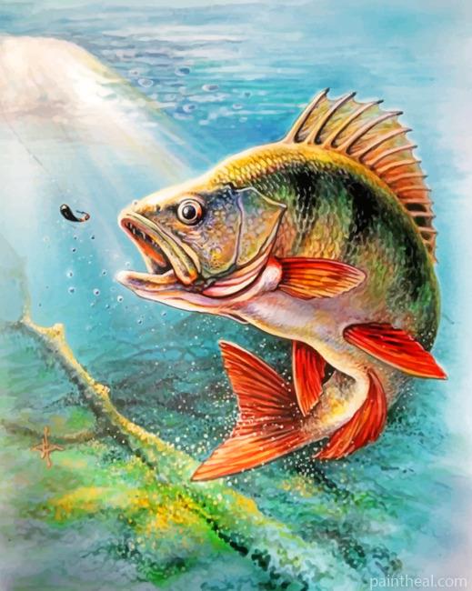 Carp Fish Painting By Numbers Kits