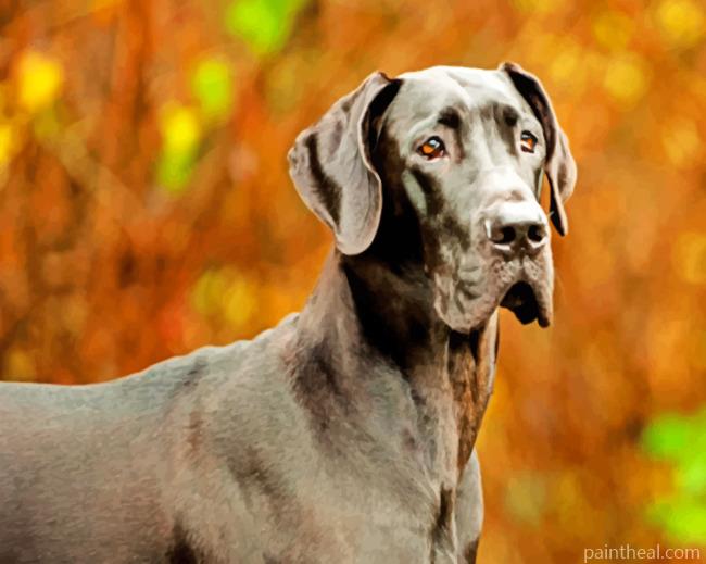 Great Dane Dog Painting By Numbers Kits