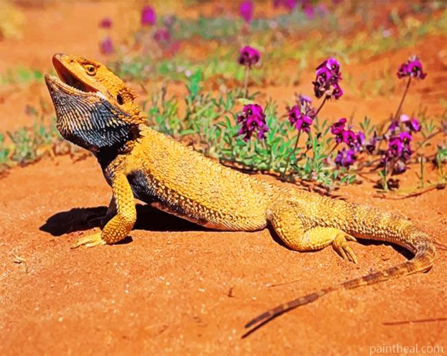 Desert Bearded Dragon Painting By Numbers Kits