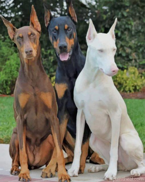 Three Doberman Pinscher Dogs – Diamond Painings Painting By Numbers Kits