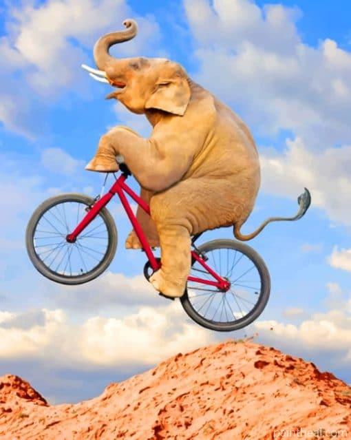 Elephant On Bicycle Painting By Numbers Kits