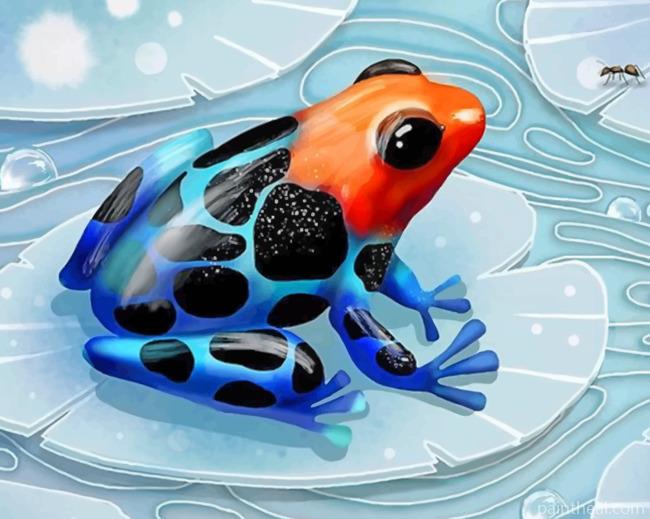 Poison Dart Frogs Painting By Numbers Kits