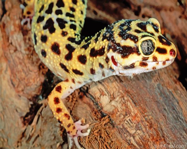 Leopard Gecko Painting By Numbers Kits