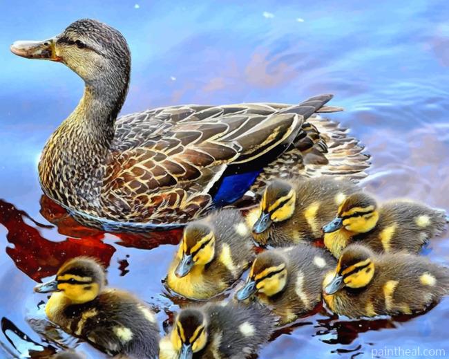 Cute Ducks In A Row Painting By Numbers Kits