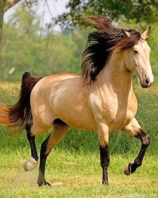 Majestic Blonde Horse Painting By Numbers Kits