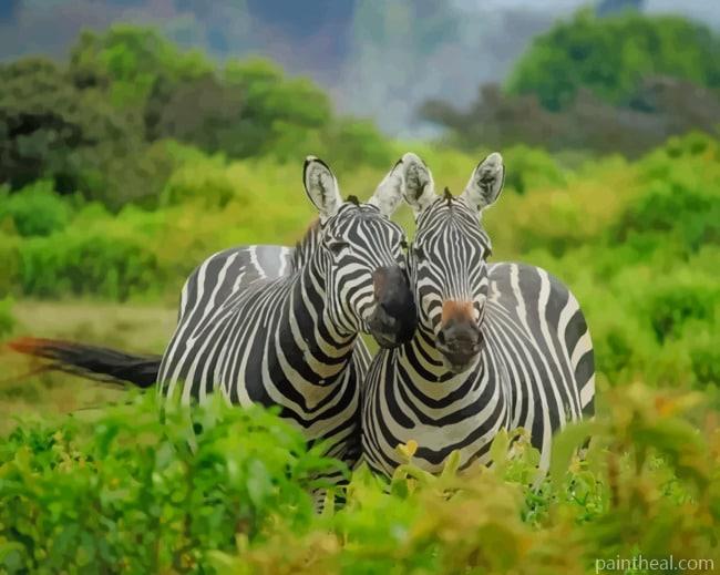 Two Zebras Close Up Painting By Numbers Kits