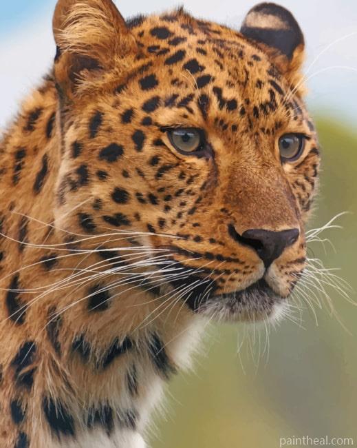 Leopard Face Painting By Numbers Kits