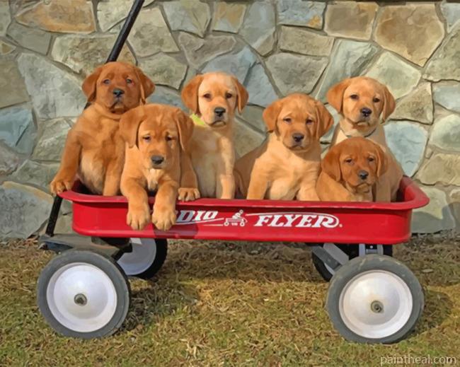 Fox Red Labradors Painting By Numbers Kits