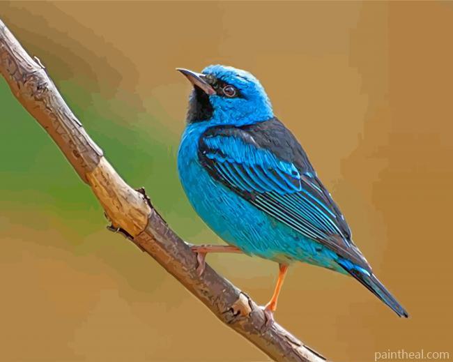 Aesthetic Blue Bird Painting By Numbers Kits