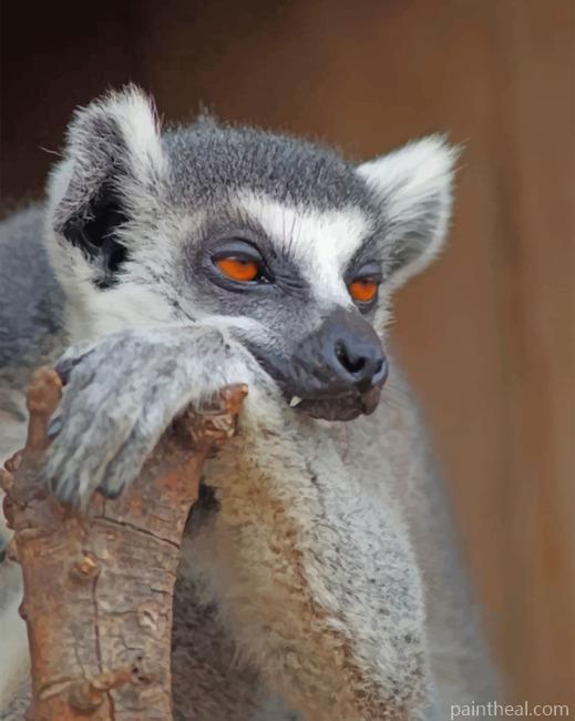 Bored Lemur Painting By Numbers Kits