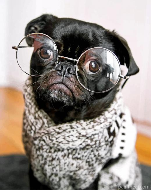 Stylish Black Pug Painting By Numbers Kits